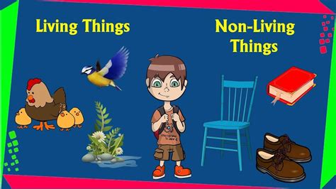 Living Things and Non Living Things - ClassNotes.ng