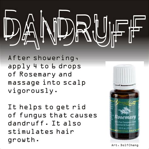 | Dandruff essential oil, Essential oils rosemary, Oils for dandruff