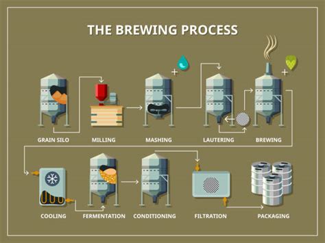 1,500+ Beer Making Process Stock Illustrations, Royalty-Free Vector Graphics & Clip Art - iStock