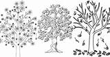 25 Free Tree Coloring Pages For Kids And Adults sketch template