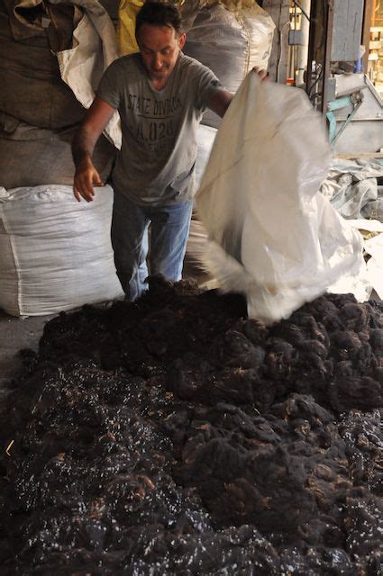 The Teasing process for Zwartbles Sheep Wool at Cushendale Woollen Mills - Zwartbles Ireland