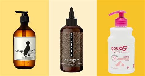 9 Best Dog Shampoos 2021 | The Strategist