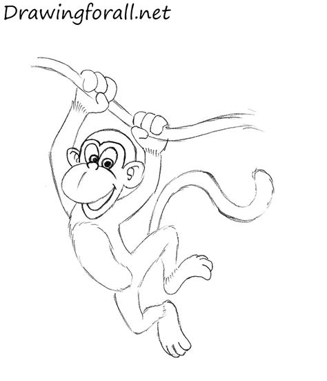 How to Draw a Monkey for Kids