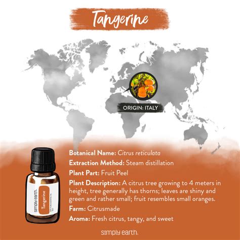 Simply Earth | Tangerine Essential Oil