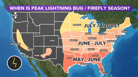 When is peak lightning bug and firefly season in the U.S ...