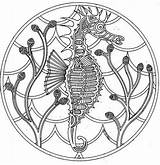 Top 9 Mandala Seahorse Coloring Pages  sketch template