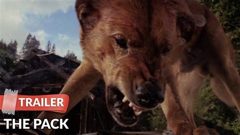 The Pack (1977) Trailer HD | Joe Don Baker | Hope Alexander-Willis ...