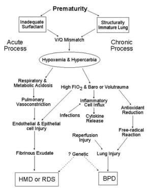 Respiratory Distress Syndrome