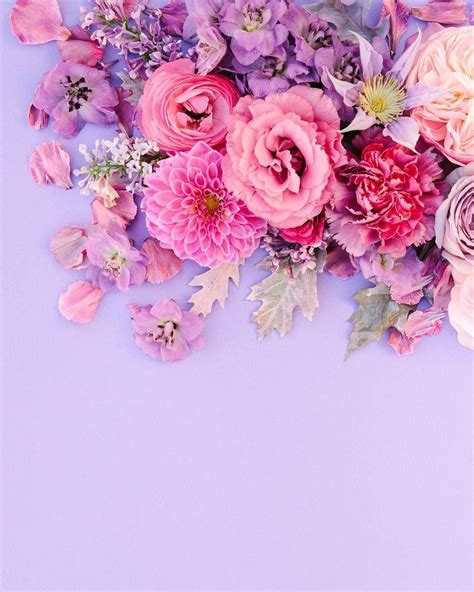 Pink and Purple Flower Wallpapers - Top Free Pink and Purple Flower Backgrounds - WallpaperAccess