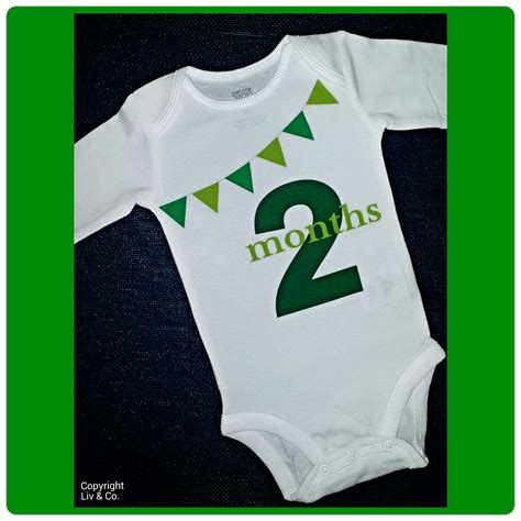 2 Month Old Milestone Outfit - Baby Clothes