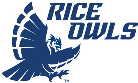 Rice Owls Alternate Logo (2017-Pres) - | College football logos, Sports logo design, ? logo