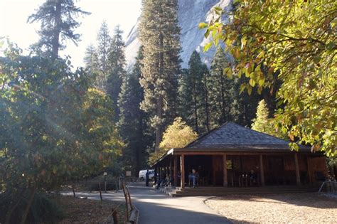 Life in the Slow Lane (The Pearl): Yosemite's Curry Village