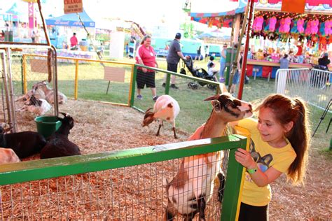 Attractions - Petting Zoo - Dreamland Amusements