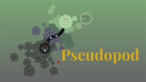 Pseudopod Structure by karina rohena