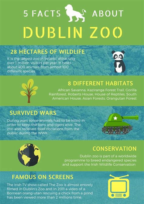 5 Facts About Dublin Zoo | The Mont