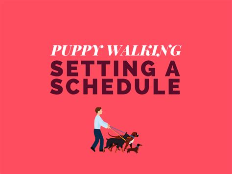 Puppy Walking: Setting a Schedule - Cruisin Canines