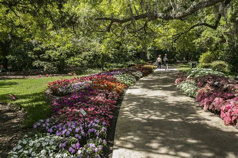 Harry P. Leu Gardens | Attractions in Rose Isle, Orlando