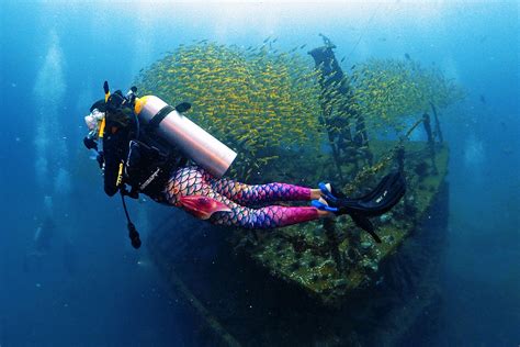 Phi Phi Island Diving Day Trip | Phuket Dive Center