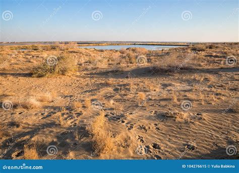 Oasis in the desert stock image. Image of central, autumn - 104276615