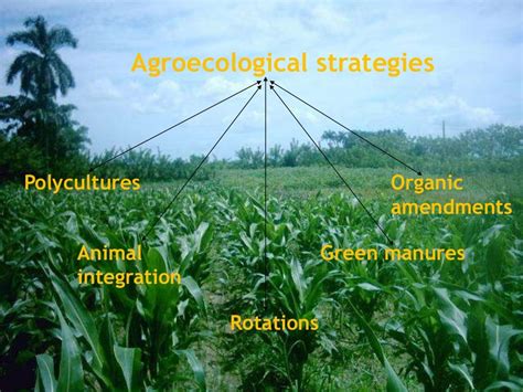 Agroecology: Principles and Practices