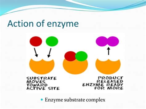 BIOCATALYST | PPT