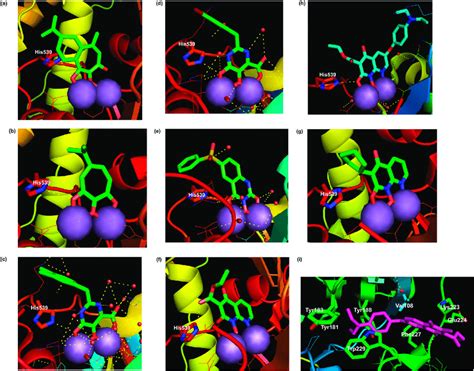 Co-crystallized RNAse H inhibitors and relative PDB codes. The... | Download Scientific Diagram