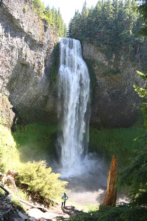 Salt Creek Falls - One of Oregon's Highest Single-Drop Falls