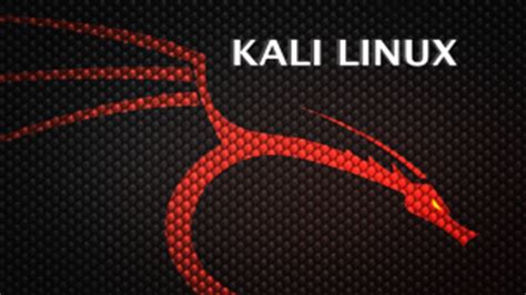 Kali linux iso - oseseattle