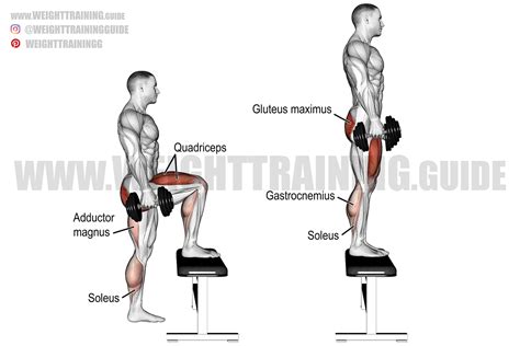 Dumbbell step-up exercise instructions and video | Weight Training Guide