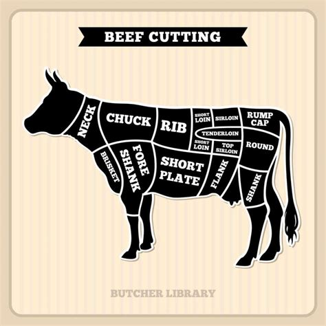 Butcher Diagram Clip Art Digital Cow Diagram Beef Cuts Dia | My XXX Hot ...