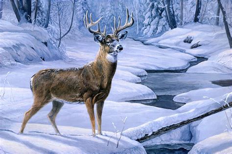 Winter Deer Wallpapers - Top Free Winter Deer Backgrounds - WallpaperAccess