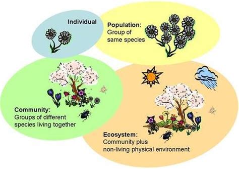 4.1 Species, communities, and ecosystems