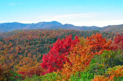 Tips and Places to View The Great Smoky Mountains Fall Foliage | Great Smoky Mountains Guide