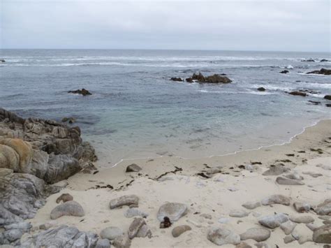 Asilomar State Beach in Pacific Grove, CA - California Beaches