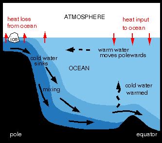 What Happens to Ice in Water?