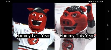 [AHL] The Rockford IceHogs redesigned Hammy Hogs head again after the disaster last season ...