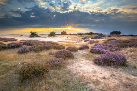 Veluwe | Discover Holland