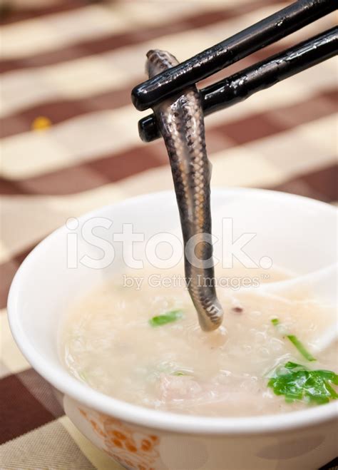 Snake Soup Stock Photo | Royalty-Free | FreeImages