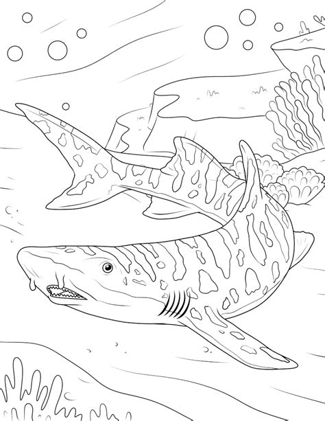 Shark Pictures To Coloring Pages