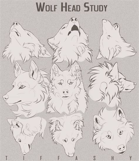 Art Tutorials & References — art-tnt: Canine Studies - Body -Ear -Nose -Teeth... | Canine ...