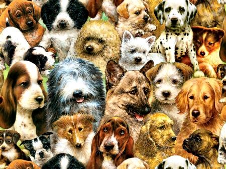 Dog Collage F - Dogs & Animals Background Wallpapers on Desktop Nexus (Image 2187503)