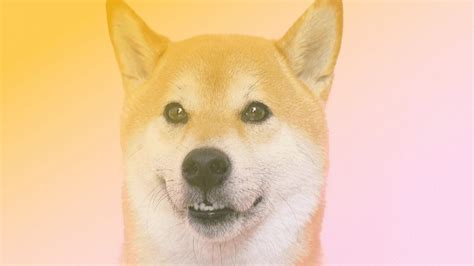 What is Shiba Inu (SHIB) Coin and is it a Good Investment?