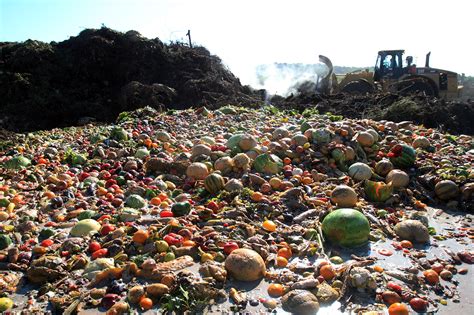 China's Food Waste Challenge - Collective Responsibility
