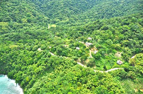 Tobago’s Main Ridge Forest Reserve is C'bean Nature Park of the Year - Trinidad and Tobago Newsday