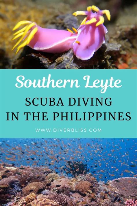 Southern Leyte Diving: Dive Guide To Sogod Bay