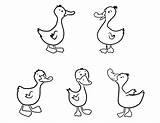 Five Little ducks coloring pages Download And Print For Free sketch template