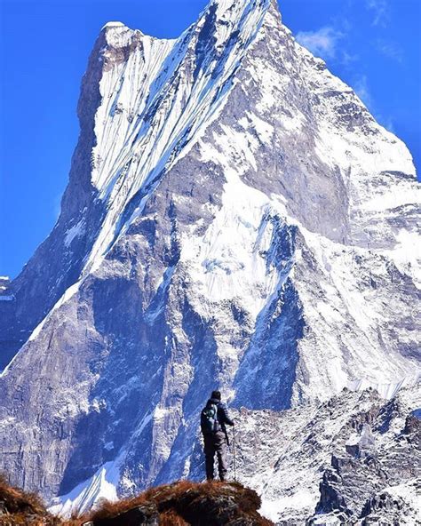 Machapuchare (Nepal) Nepal People, Alpine Forest, Nepal Culture, Annapurna Base Camp, Nepal ...