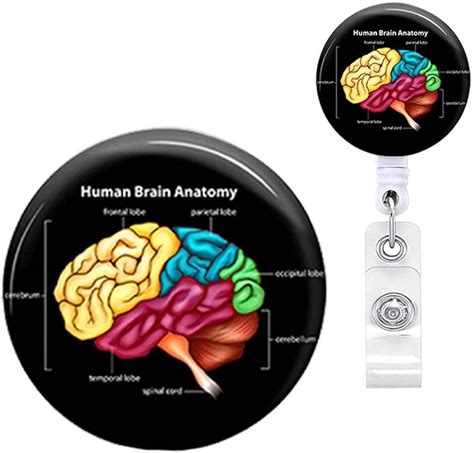 ANDGING Human Brain Anatomy Badge Reel Cute Funny Mental Health Badge Reels Retractable for ...