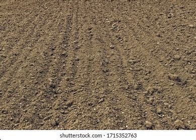 Close Freshly Tilled Soil Till Marks Stock Photo 1715352763 | Shutterstock