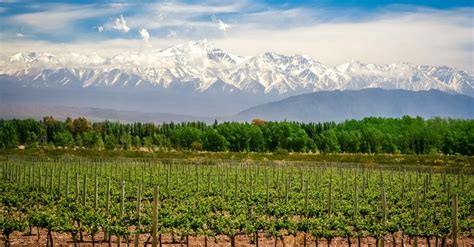 Interesting Facts about Uco Valley in Mendoza region | Winetourism.com